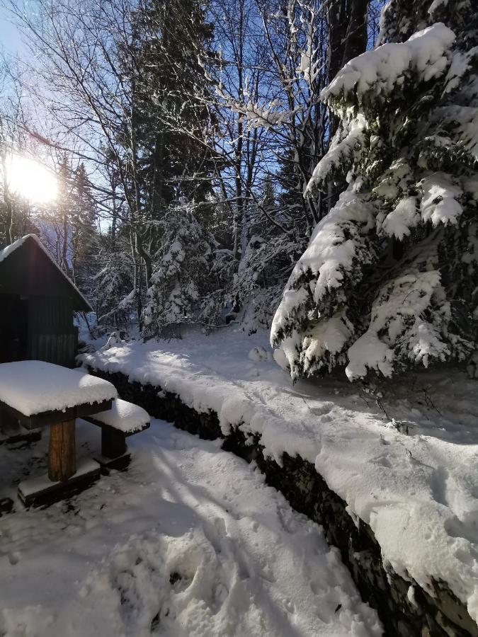 Koca Kresnica Villa Ilirska Bistrica Bagian luar foto