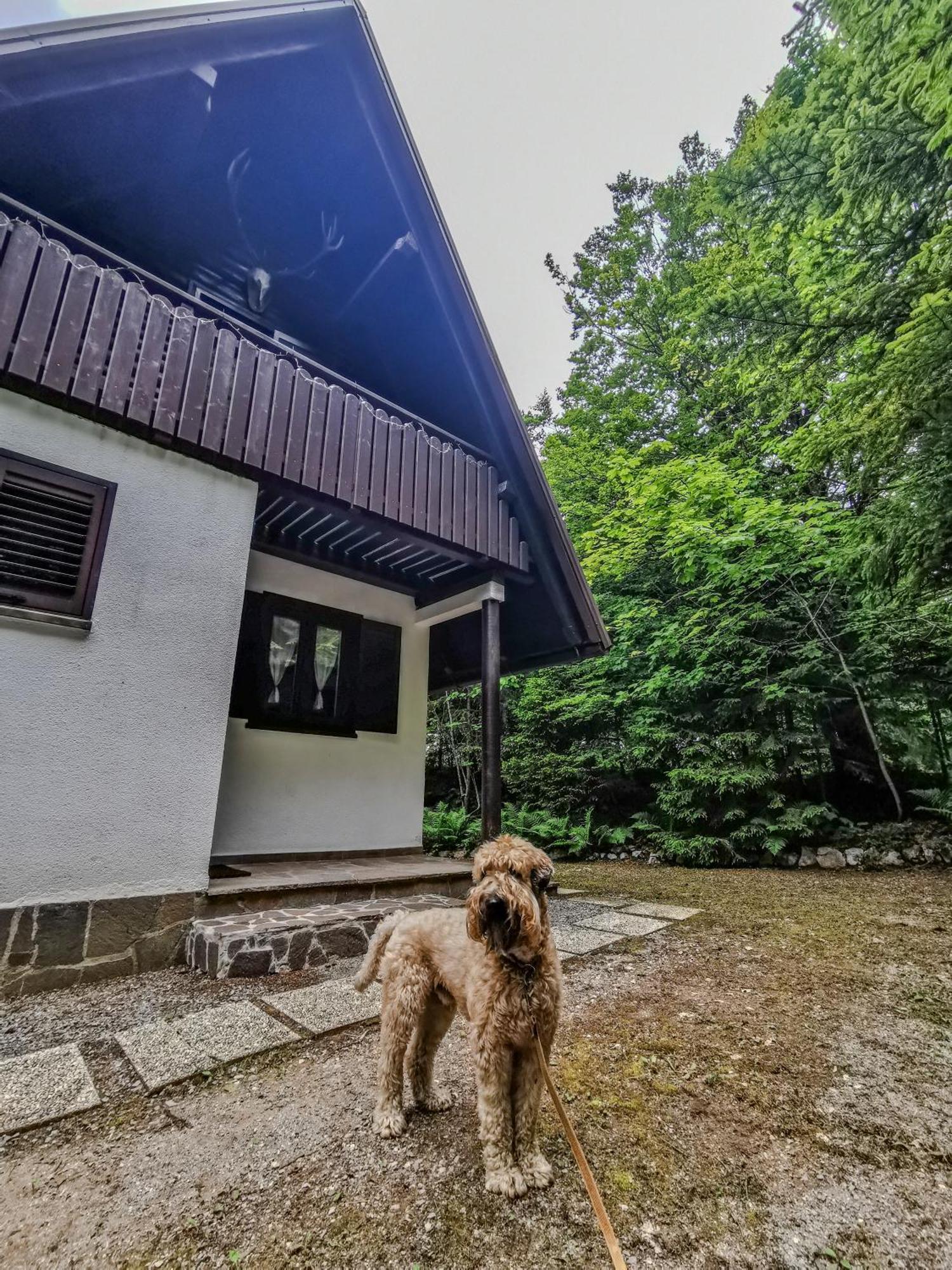 Koca Kresnica Villa Ilirska Bistrica Bagian luar foto