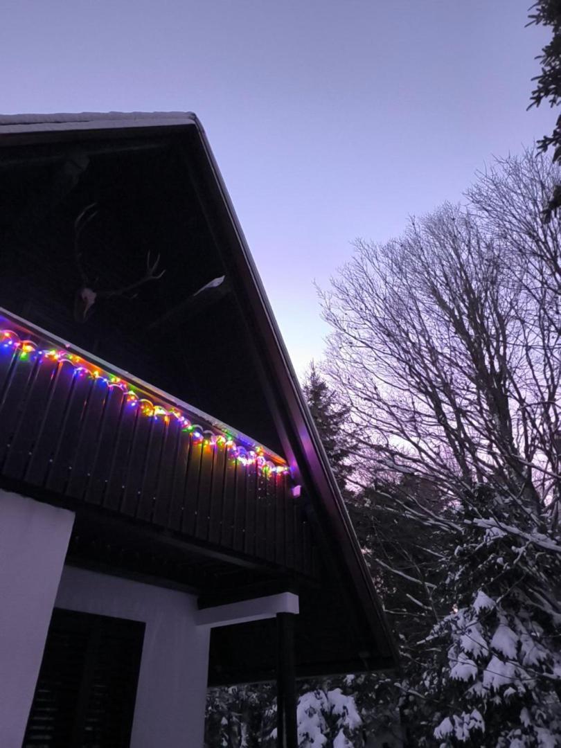Koca Kresnica Villa Ilirska Bistrica Bagian luar foto